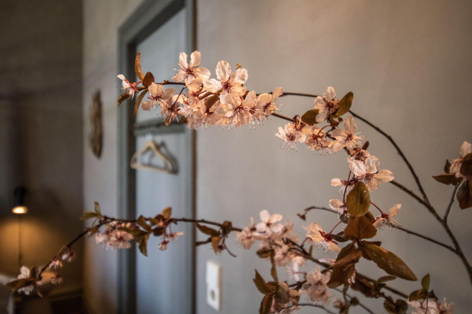 Gutshaus Zarchlin Apartment Barkhagen ห้อง รูปภาพ